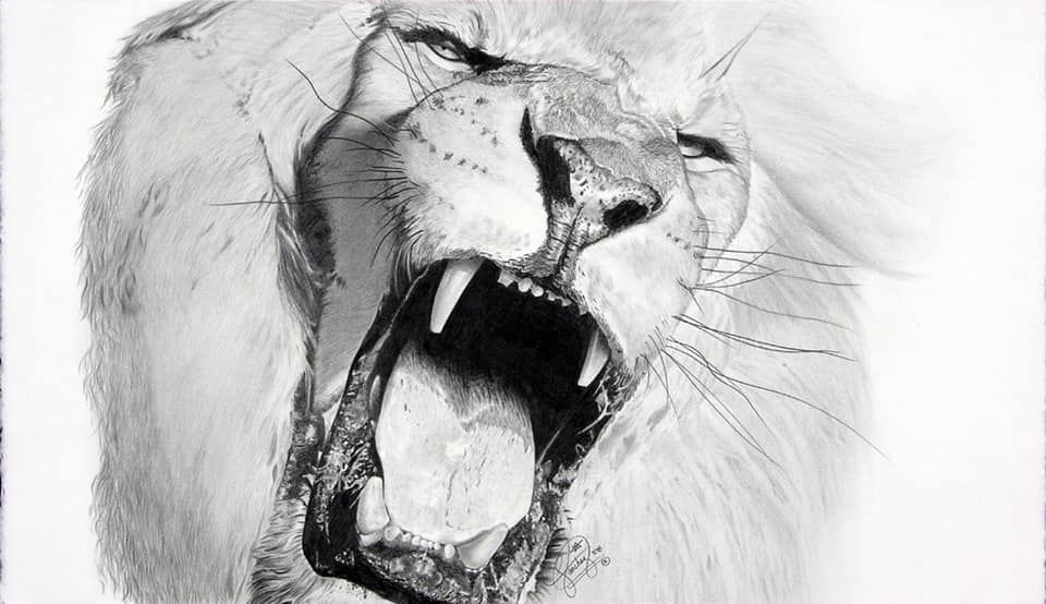 african wildlife 1.jpg